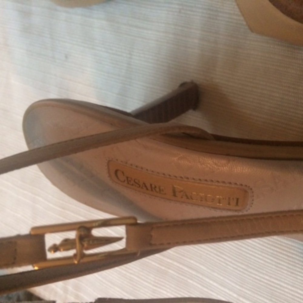 Paciotti shoes
